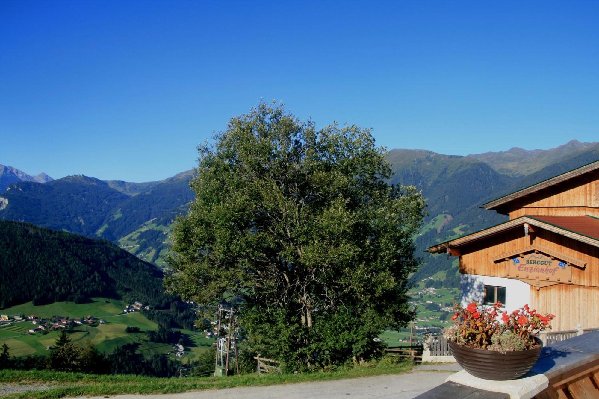 Alpengasthof Enzianhof Zell am Ziller Exterior foto